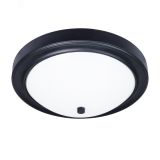Потолочный светильник JAMES A4049PL-3BK Arte Lamp