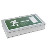 Световой указатель BS-FLAGMAN-53-S1-INEXI2 a16947 Белый свет