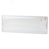 Аварийный светильник DPA-301-1-65 постоянный 40LED 3ч IP65 NiCD Б0051843 ЭРА