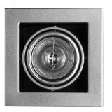 Светильник встраиваемый CARDANI MEDIO A5930PL-1SI Arte Lamp
