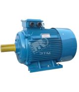 Электродвигатель 5АИ 225 М4 55/1500  IM 1001 01.01.213505 Элком