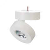 Светильник SP-MONA-SURFACE-R100-12W Warm3000 (WH, 24 deg) (ARL, IP40 Металл, 3 года) 025440(1) Arlight