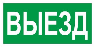 Пиктограмма ПЭУ 017 Выезд (130х260) 2501002820 Световые Технологии