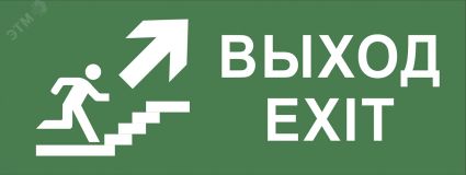 Этикетка самоклеющаяся 200х60мм Выход/лестница вверх/фигура DPA/DBA INFO-DBA-014 Б0048466 ЭРА