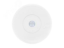 Светильник светодиодный ORBIT 6500-2 LED 4502003810 Световые Технологии