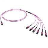 Сборка оптическая разветвительная 12ОВ 50/125 OM4. 1хMTP PRO(12)/6хLC Dupleх Uniboot. 2м (предустановленная конфигурация: MTP Male . тип полярности - прямая (Tх-Rх) RNFML12402 DKC