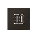 Розетка USB для зарядки двойная - Программа Mosaic - 2 модуля - черная 079384 Legrand