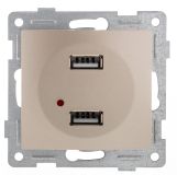 Bravo Розетка USB, двойная, скрытая установка.  шампань С10USB2-027 GUSI ELECTRIC