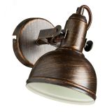 Спот MARTIN A5213AP-1BR Arte Lamp