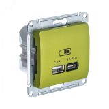 GLOSSA USB РОЗЕТКА A + тип-C 45W высокоскор.заряд. QC, PD, механизм, ФИСТАШКОВЫЙ GSL001029 Systeme Electric