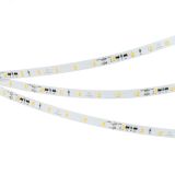 Лента IC-A60-8мм 24V Day5000 (4.8 W/m, IP20, 2835, 10m) (стабилизированная) 037955 Arlight