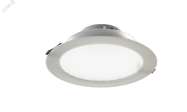 Светильник Radian 25 NEW/23/Д/4,0K/03/220AC IP40 203302300843400 LEDEL