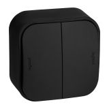 Переключатель двухклавишный - Legrand Quteo - IP20 10A 250В винтовые зажимы накладной монтаж - чёрный матовый 782479 Legrand