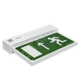 Световой указатель BS-TERON-71-S1-INEXI2 a15594 Белый свет