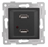 GUSI Ugra механизм розетки USB,  двойной,  скрытая  установка. Цвет  графит. С11USB2-010 GUSI ELECTRIC