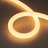 Лента герметичная MOONLIGHT-SIDE-A336-D25мм 24V Warm2700 360deg (14.4 W/m, IP65, 2835, 5м, wire x1) (Вывод кабеля боковой) 038749 Arlight