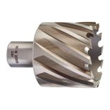 Фреза кольцевая D46х30 мм 4932371755 Milwaukee