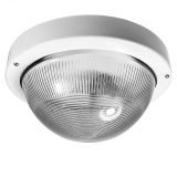 Светильник НПП-03-100-001 IP65 (Селена 1) 1005500139 Элетех