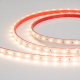 Лента герметичная RTW-PS-A60-10mm 12V Warm2700 (4.8 W/m, IP67, 2835, 5m) (, 4.8 Вт/м, IP67) 028506(2) Arlight
