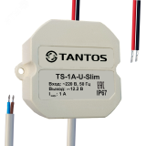 Источник вторичного электропитания всепогодный 00-00012832 Tantos