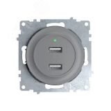 Розетка USB двойная, с подсветкой, цвет серый 2260091 OneKeyElectro