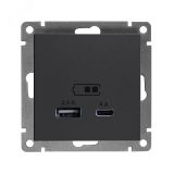 Розетка USB Афина A+С 2.4/4А, механизм  с/у, графит (еврослот) А0059-Gr UNIVersal