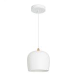 Светильник SP-PEONY-HANG-R250-15W Warm3000 (WH, 65 deg, 230V) (IP20 металл, 3 года) 039548 Arlight