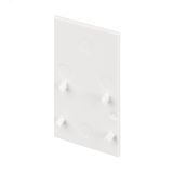 Заглушка MAG-ORIENT-CAP-2652 (WH) 035811 Arlight