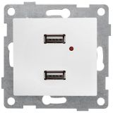 Bravo Розетка USB, двойная, скрытая установка.  жемчуг С10USB2-028 GUSI ELECTRIC