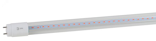 Фитолампа для растений светодиодная FITO-18W-RB-Т8-G13-NL и мясных прилавков 18 Вт Т8 G13 красно-синего спектра Б0042990 ЭРА