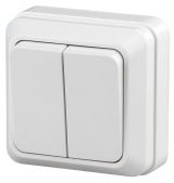 Выключатель Intro Quadro 2-104-01 двухклавишный 10А-250В, IP20, ОУ, белый Б0053757 ЭРА