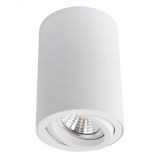 Светильник SENTRY A1560PL-1WH Arte Lamp