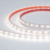 Лента герметичная RTW-PS-A60-10mm 12V White6000 (4.8 W/m, IP67, 2835, 5m) (, -) 021099(2) Arlight