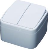 Выключатель двухклавишный серия Basic, белый, 39032 STEKKER